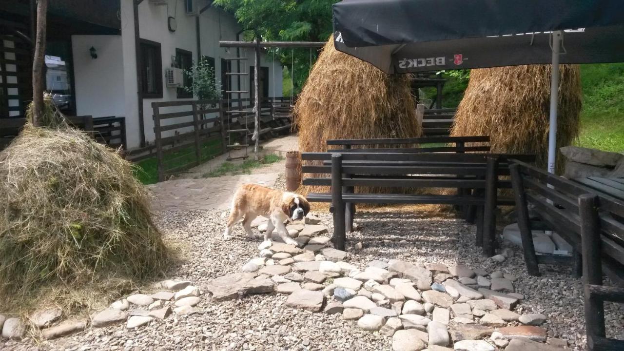 Pension Casa Drumetului Piatra Neamţ Extérieur photo