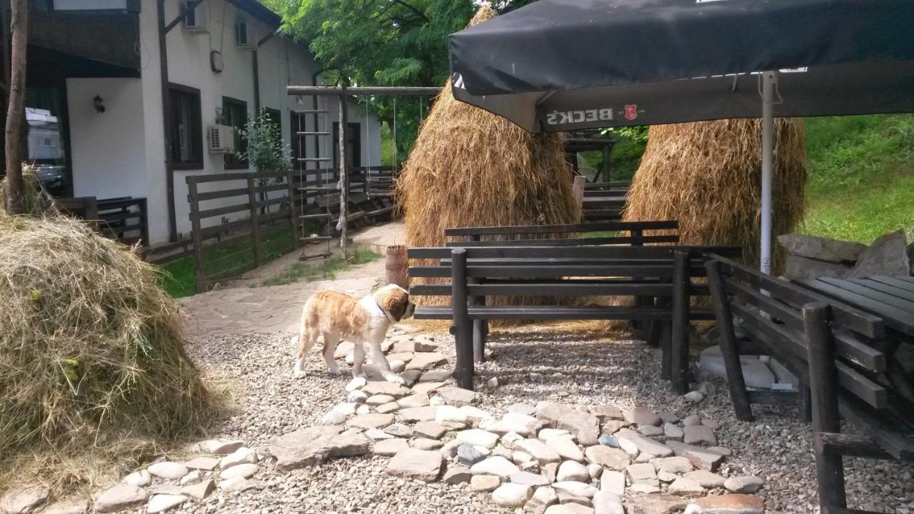 Pension Casa Drumetului Piatra Neamţ Extérieur photo