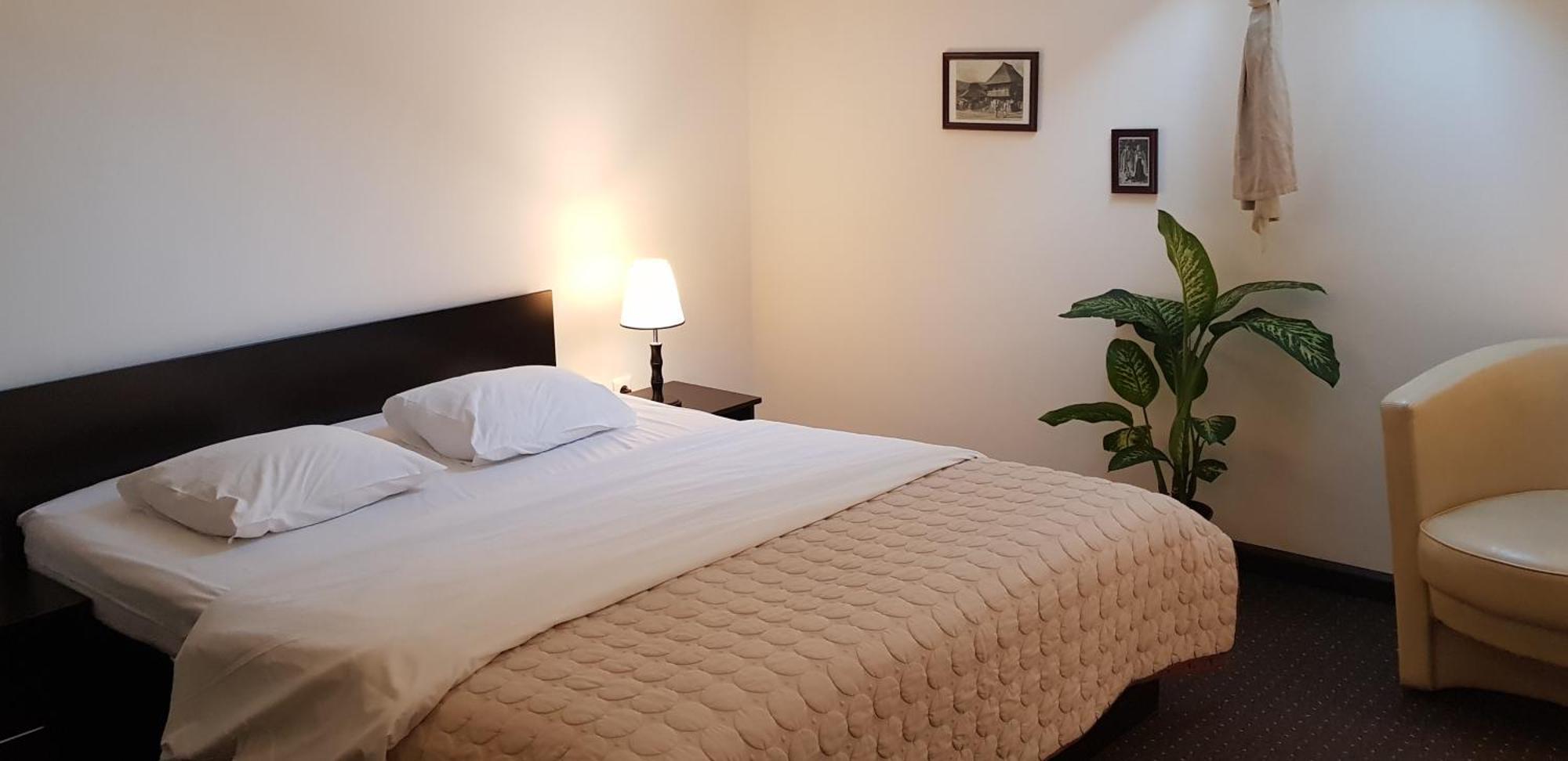 Pension Casa Drumetului Piatra Neamţ Extérieur photo